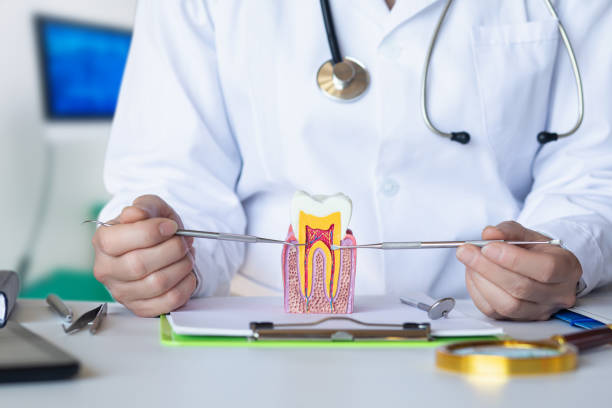 Best After-Hours Emergency Dentist in Coleman, MI